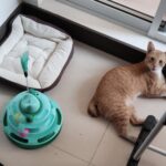 IMG_20260612_122331